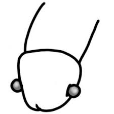 EL PIERCING GENITAL EN LOS HOMBRES Dermagraphic Tattoo A CORUÑA ...